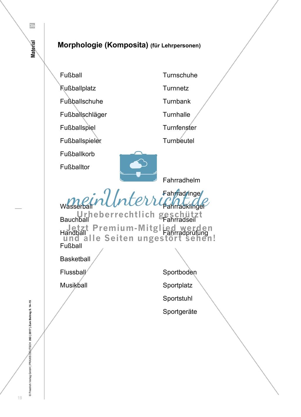 Fußballtor oder Fußballschläger? - Quantitative und qualitative Wortschatzerweiterung durch strategiebasierte Wortschatzarbeit Preview 6