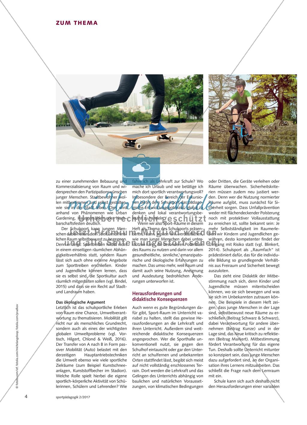 Sport-Räume - Entwicklungspotenziale, Problematiken und pädagogische Möglichkeiten Preview 3