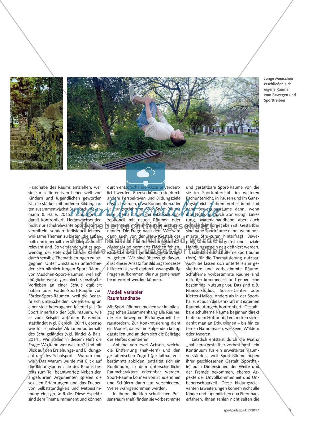 Sport-Räume - Entwicklungspotenziale, Problematiken und pädagogische Möglichkeiten Preview 4
