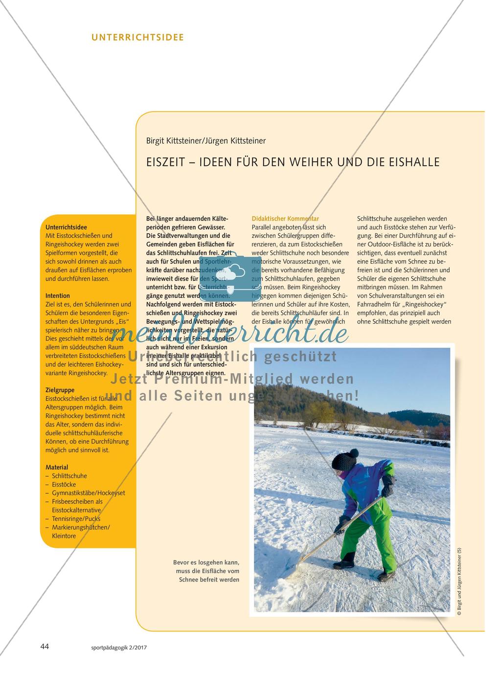 EISZEIT – IDEEN FÜR DEN WEIHER UND DIE EISHALLE Preview 1