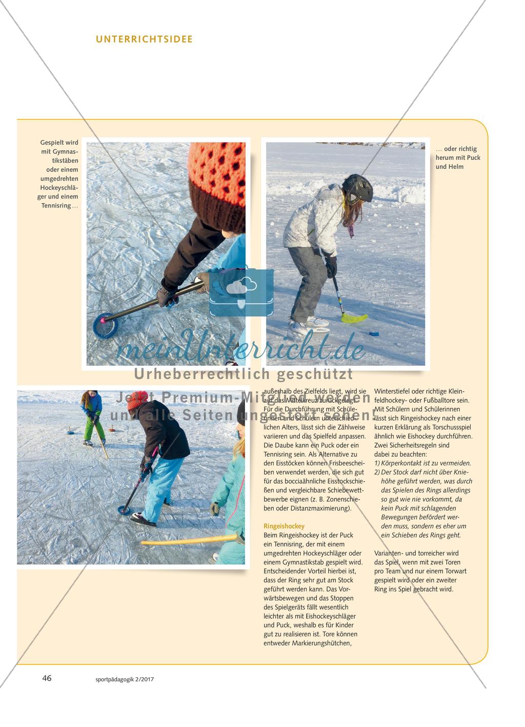 EISZEIT – IDEEN FÜR DEN WEIHER UND DIE EISHALLE Preview 3