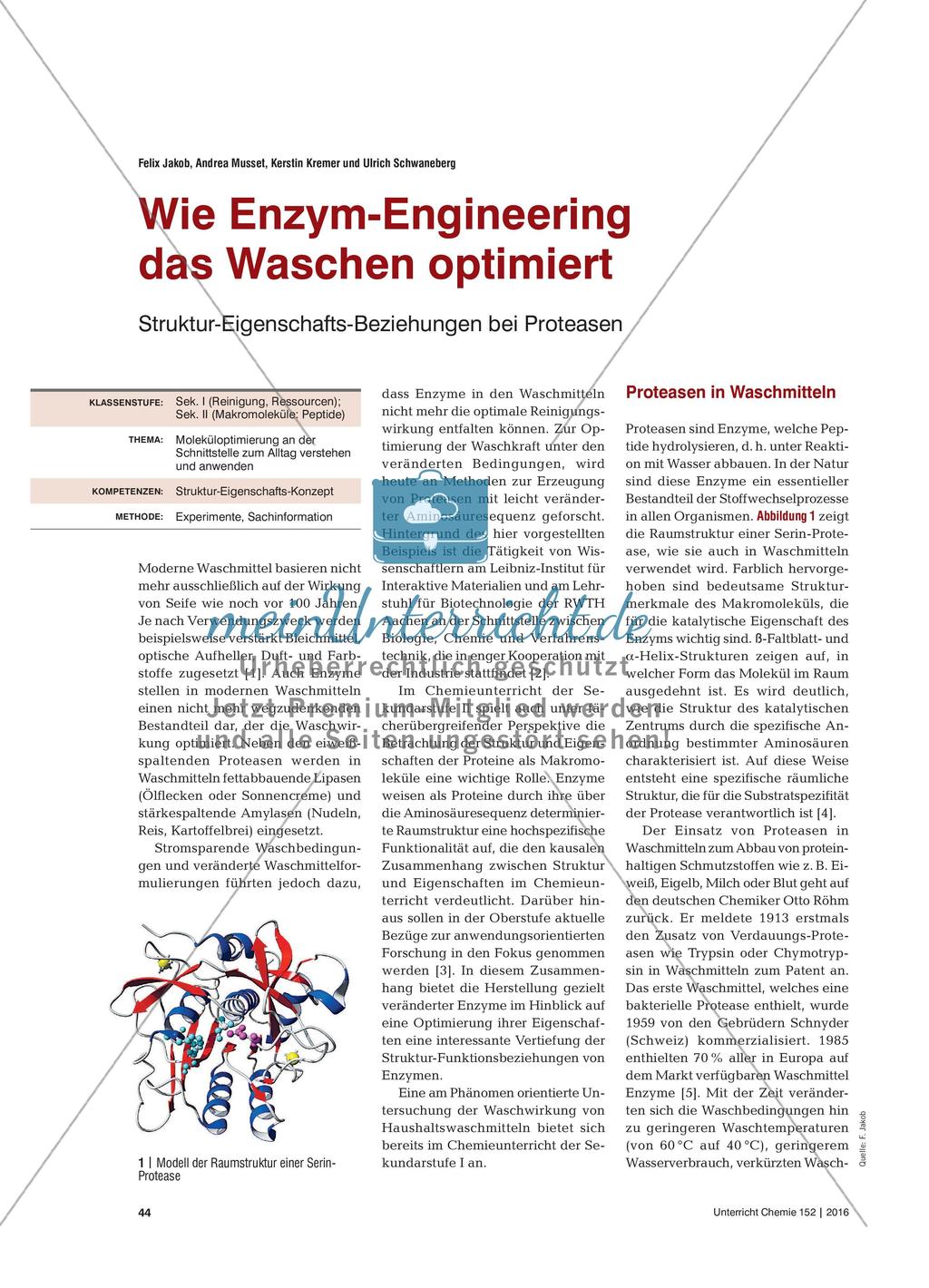 Wie Enzym-Engineering das Waschen optimiert - Struktur-Eigenschafts-Beziehungen bei Proteasen Preview 1