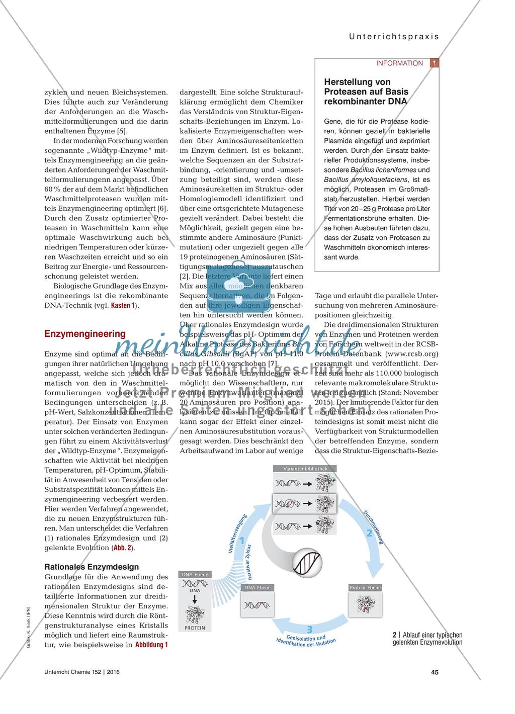 Wie Enzym-Engineering das Waschen optimiert - Struktur-Eigenschafts-Beziehungen bei Proteasen Preview 2