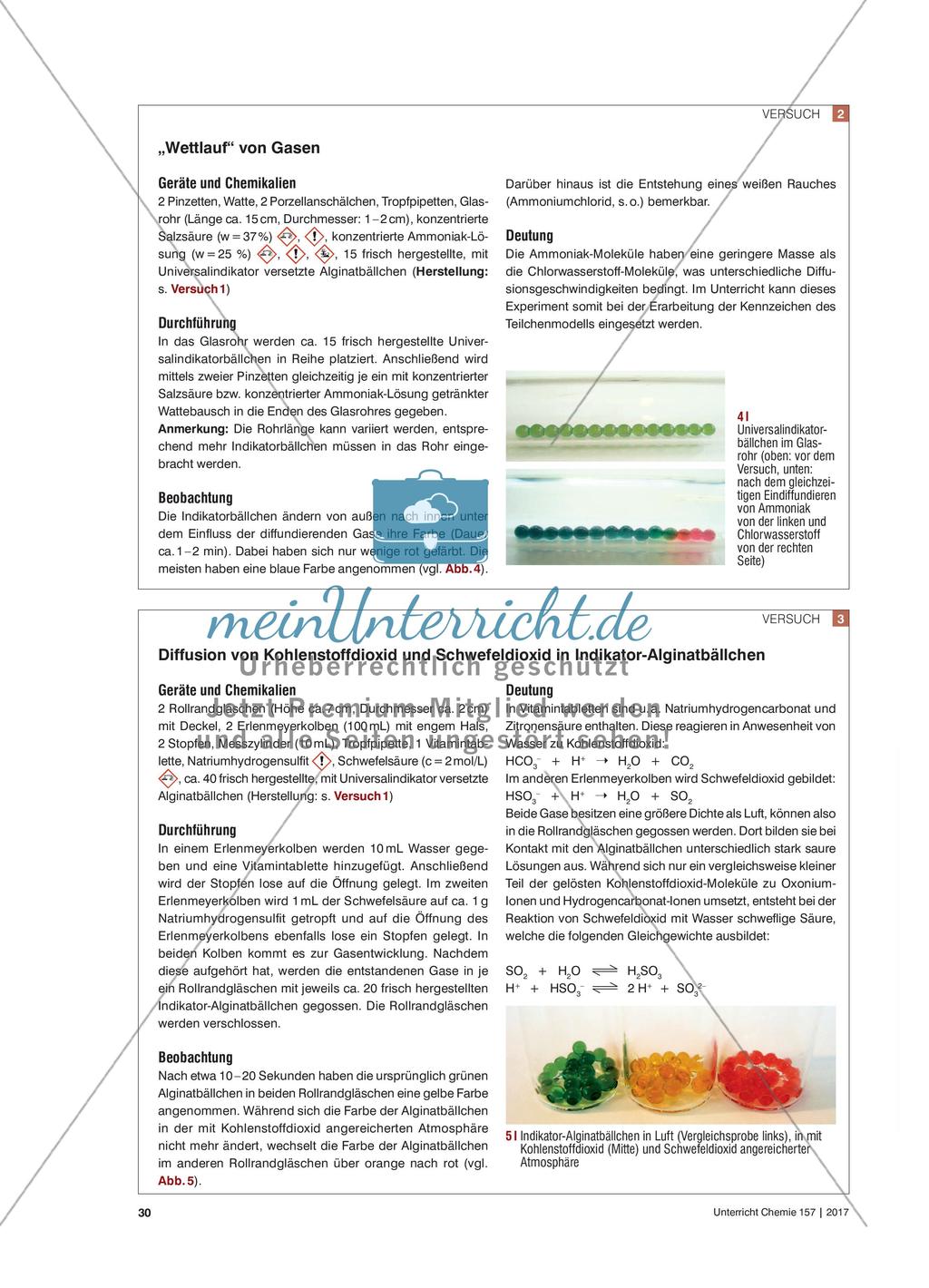 Chemische Chamäleonbällchen - Experimente mit Gasen und Alginatperlen Preview 3