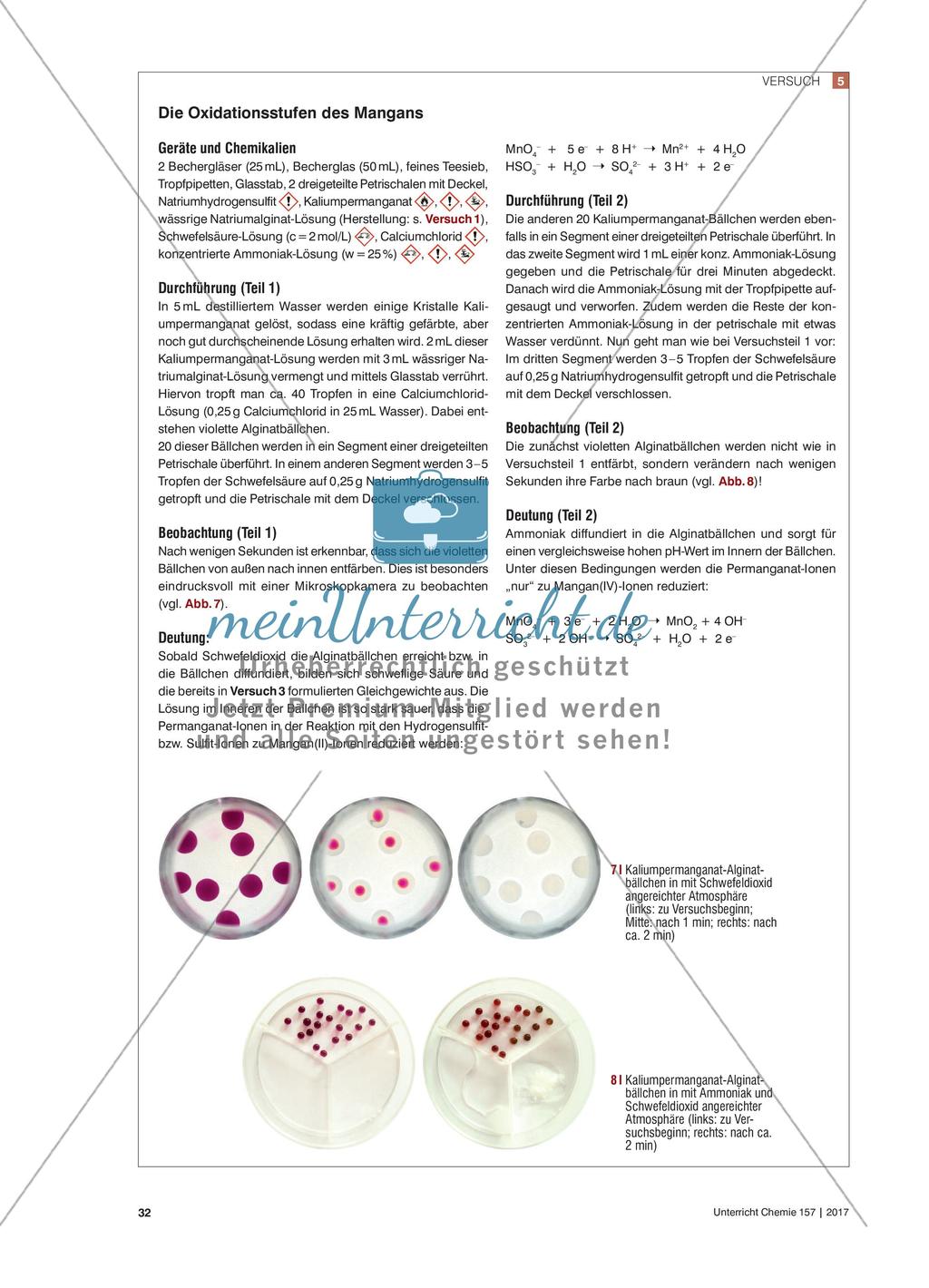 Chemische Chamäleonbällchen - Experimente mit Gasen und Alginatperlen Preview 5