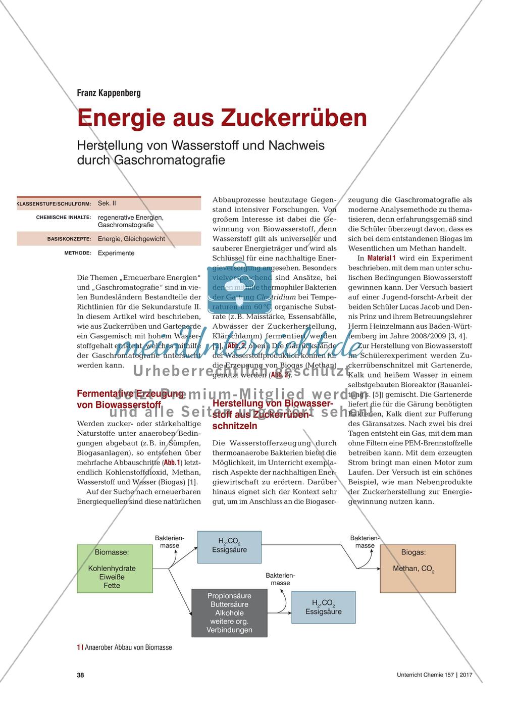 Energie aus Zuckerrüben - Herstellung von Wasserstoff und Nachweis durch Gaschromatografie Preview 1