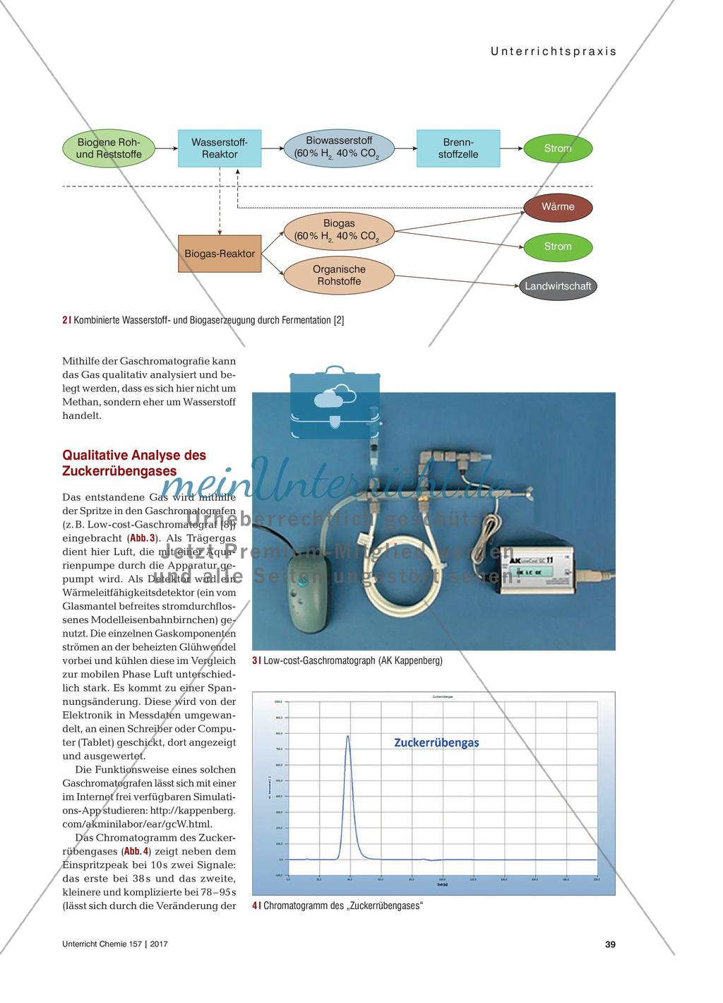 Energie aus Zuckerrüben - Herstellung von Wasserstoff und Nachweis durch Gaschromatografie Preview 2