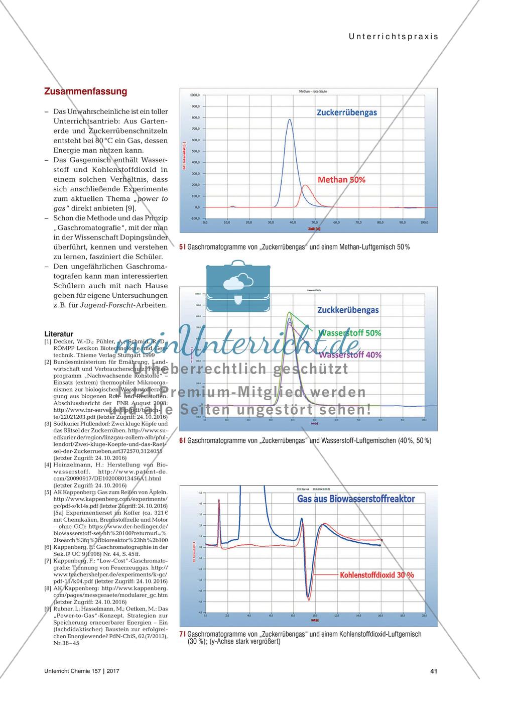 Energie aus Zuckerrüben - Herstellung von Wasserstoff und Nachweis durch Gaschromatografie Preview 4