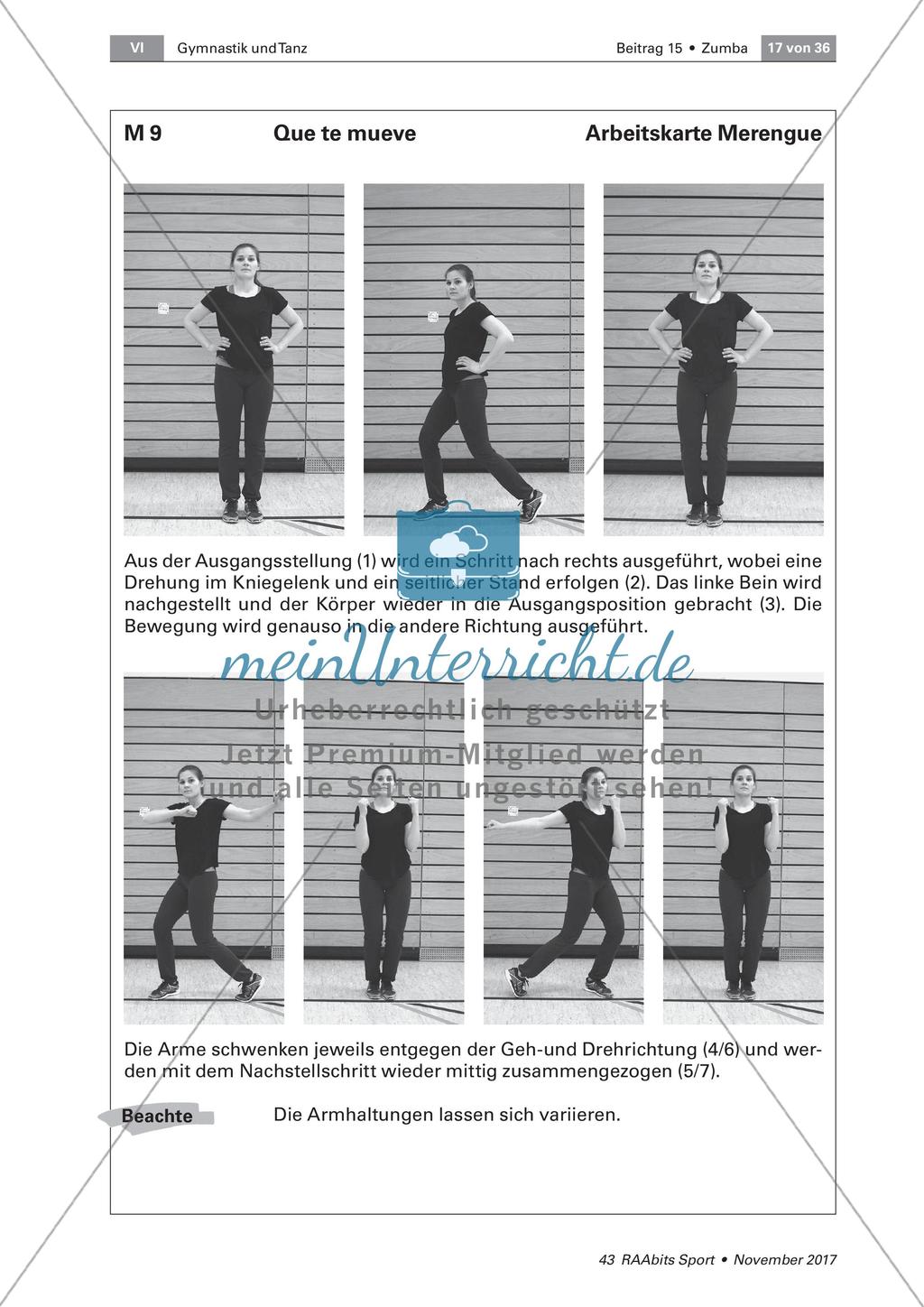 Zumba am Beispiel von Merengue und Reggaeton Preview 10