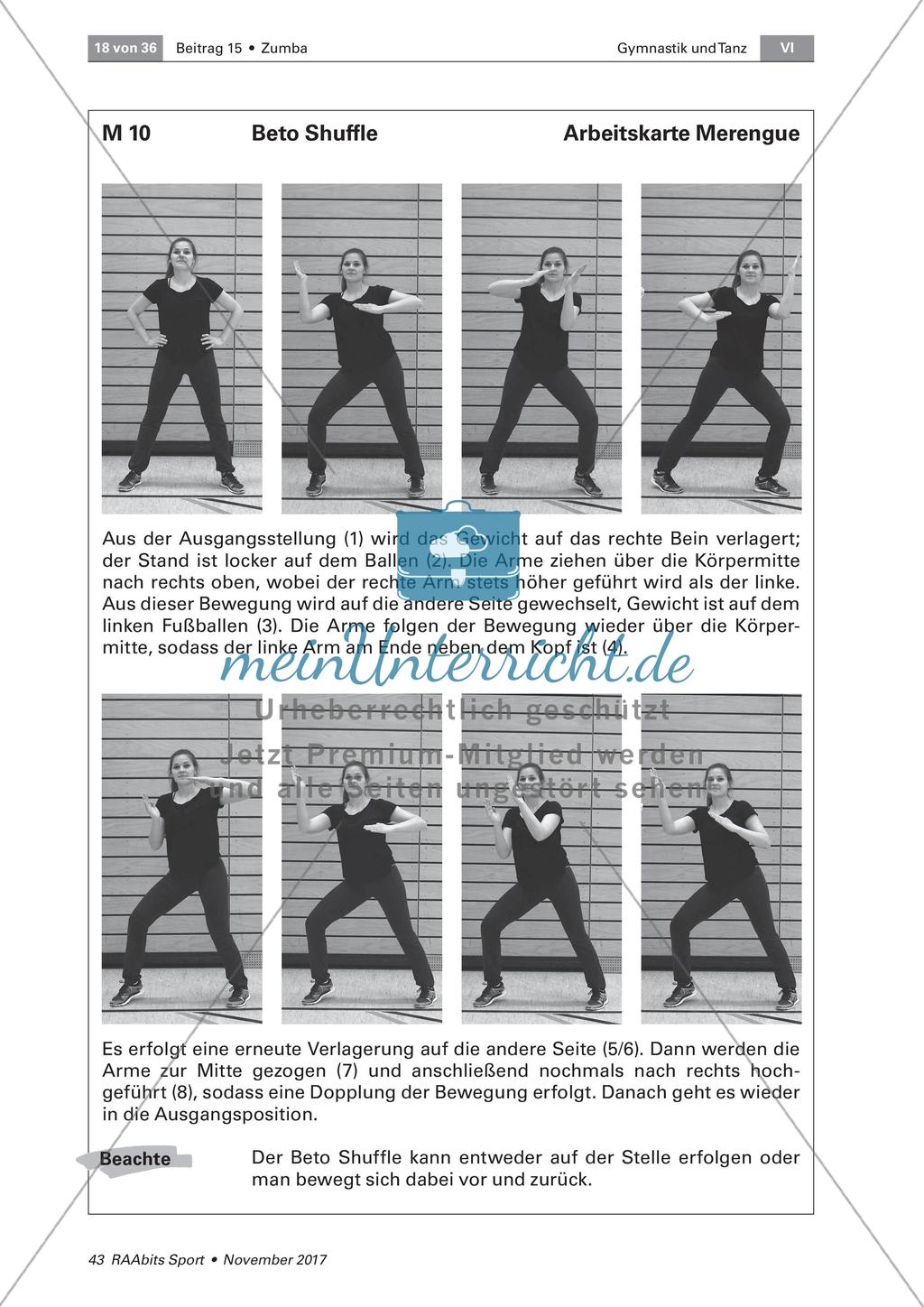 Zumba am Beispiel von Merengue und Reggaeton Preview 11