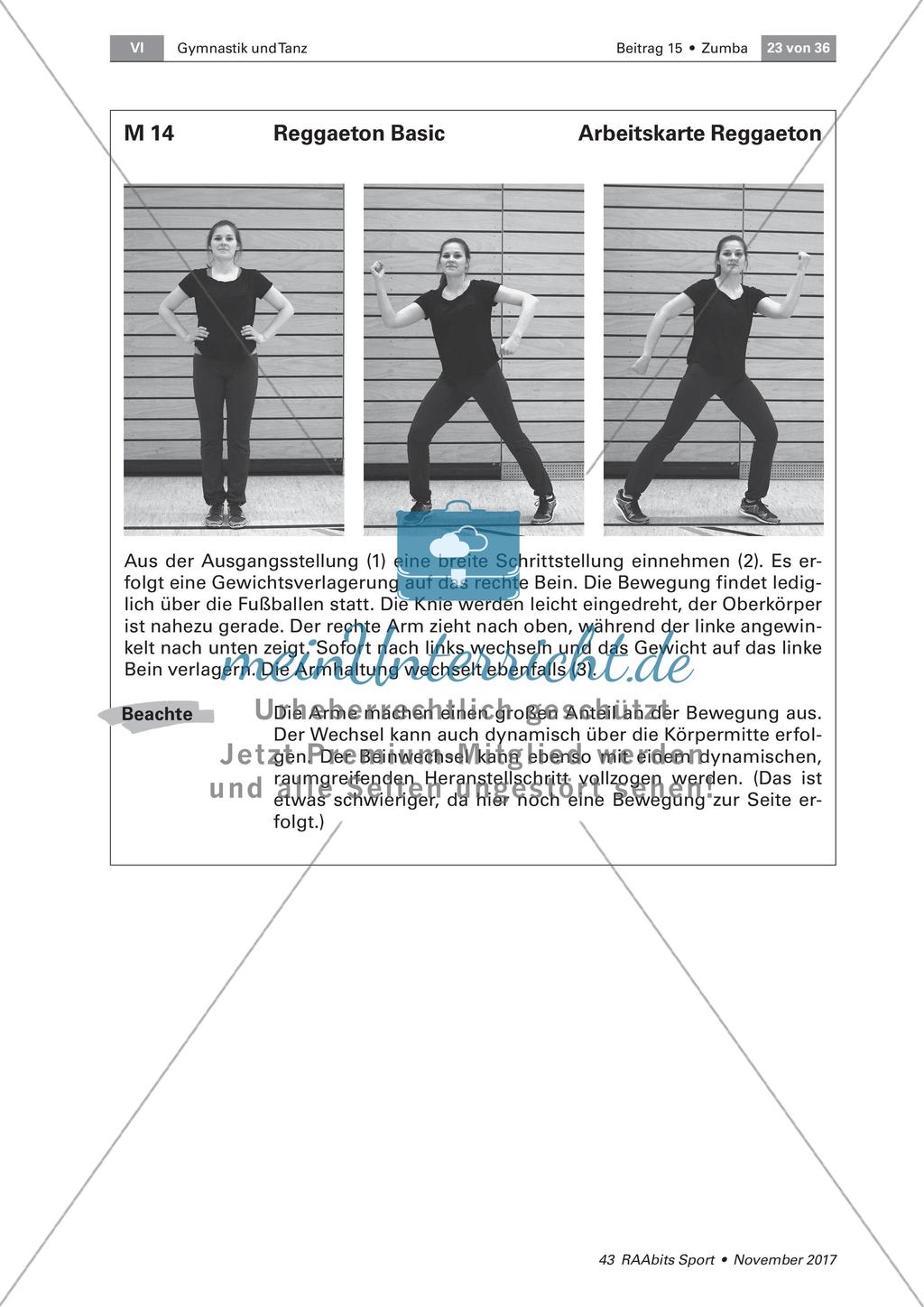 Zumba am Beispiel von Merengue und Reggaeton Preview 16