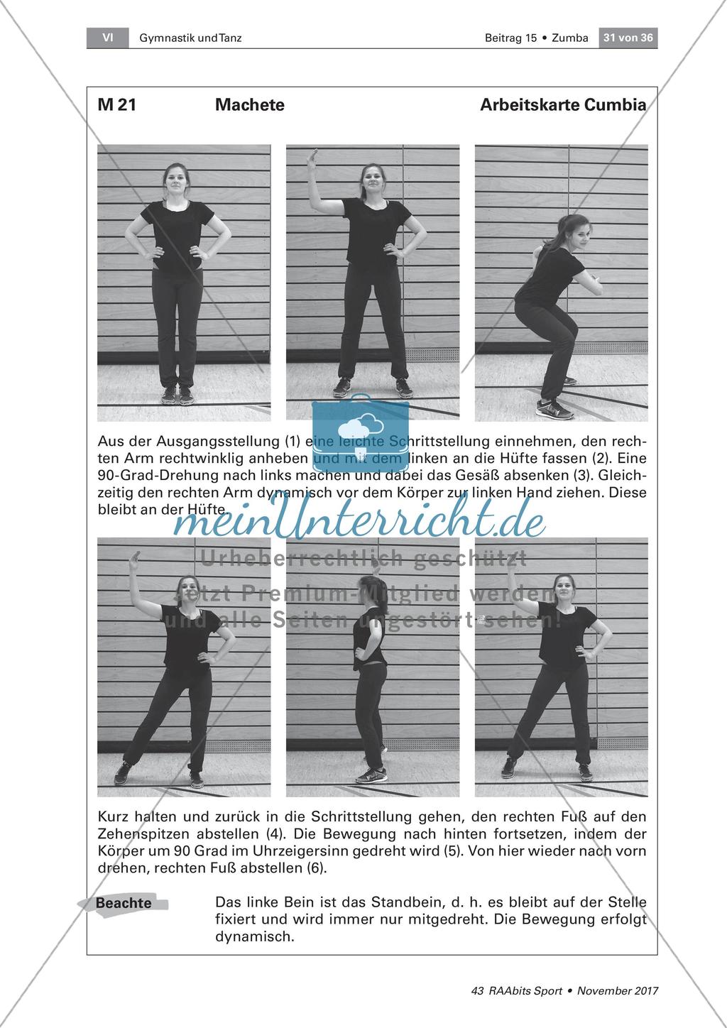 Zumba am Beispiel von Merengue und Reggaeton Preview 24