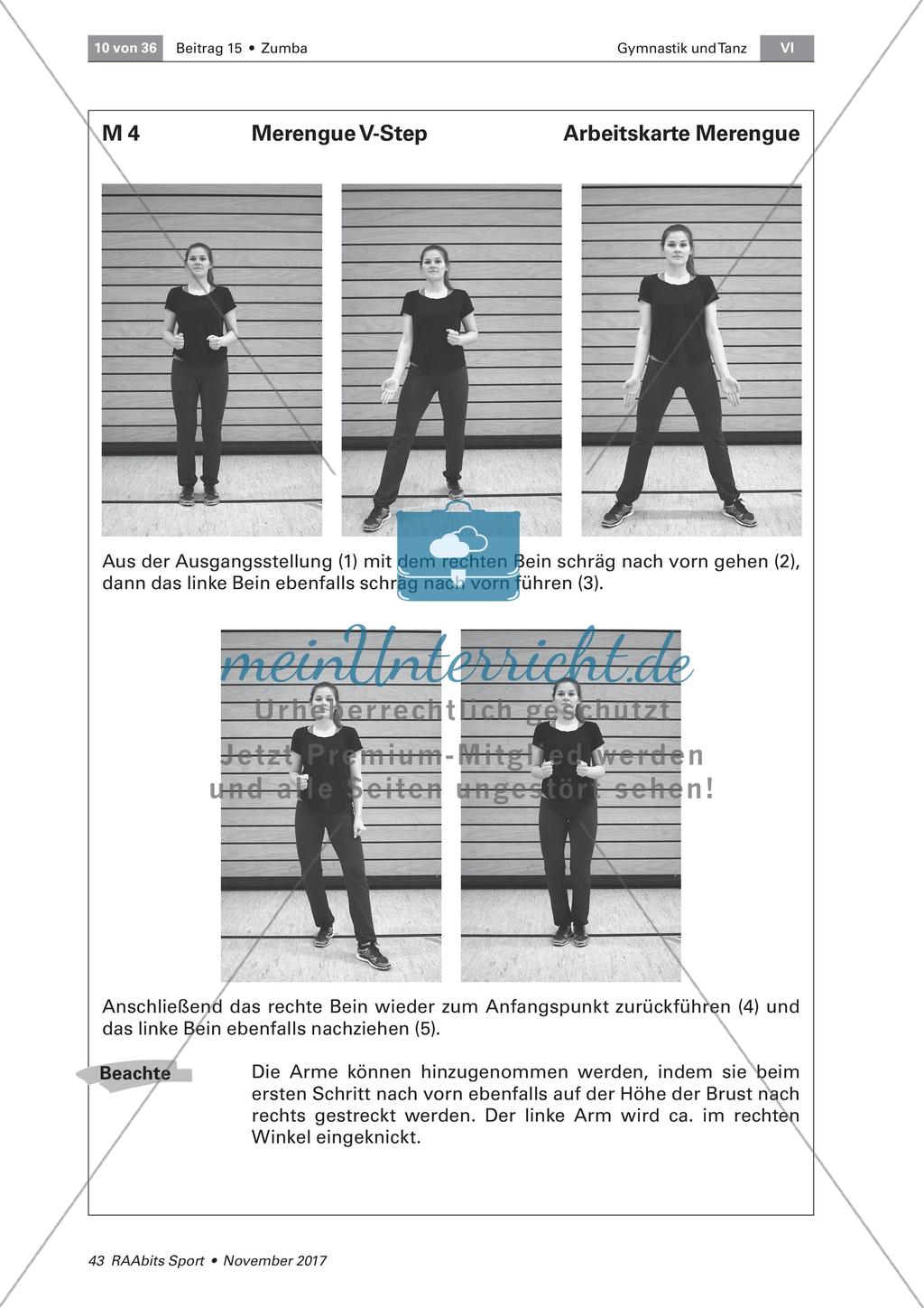 Zumba am Beispiel von Merengue und Reggaeton Preview 3