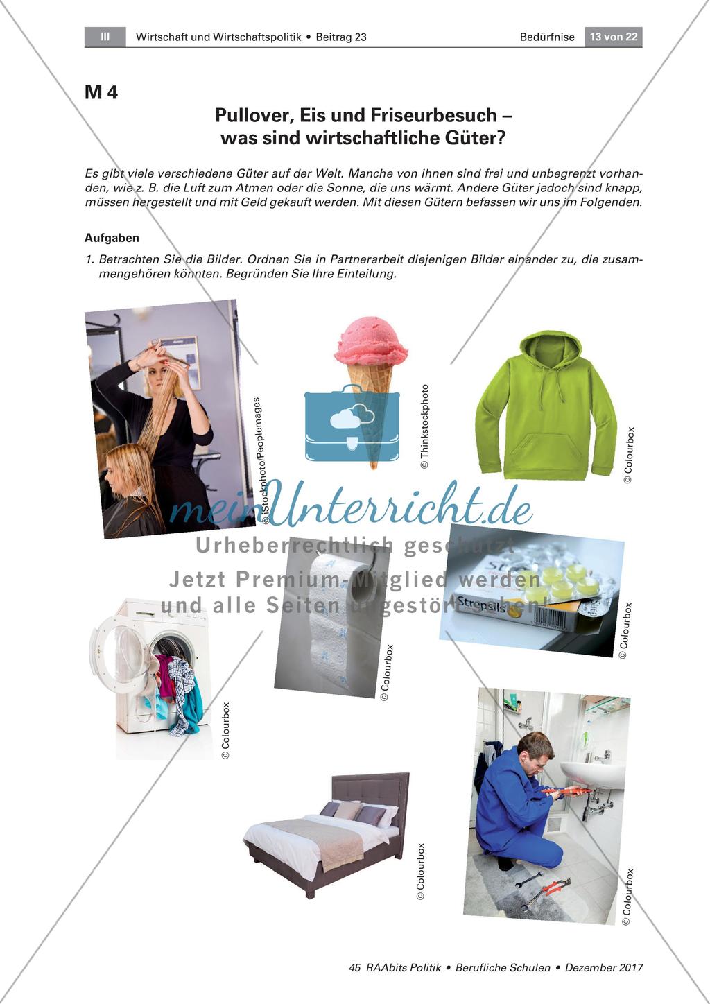 Wirtschaftliche Güter und ökonomisches Prinzip Preview 1