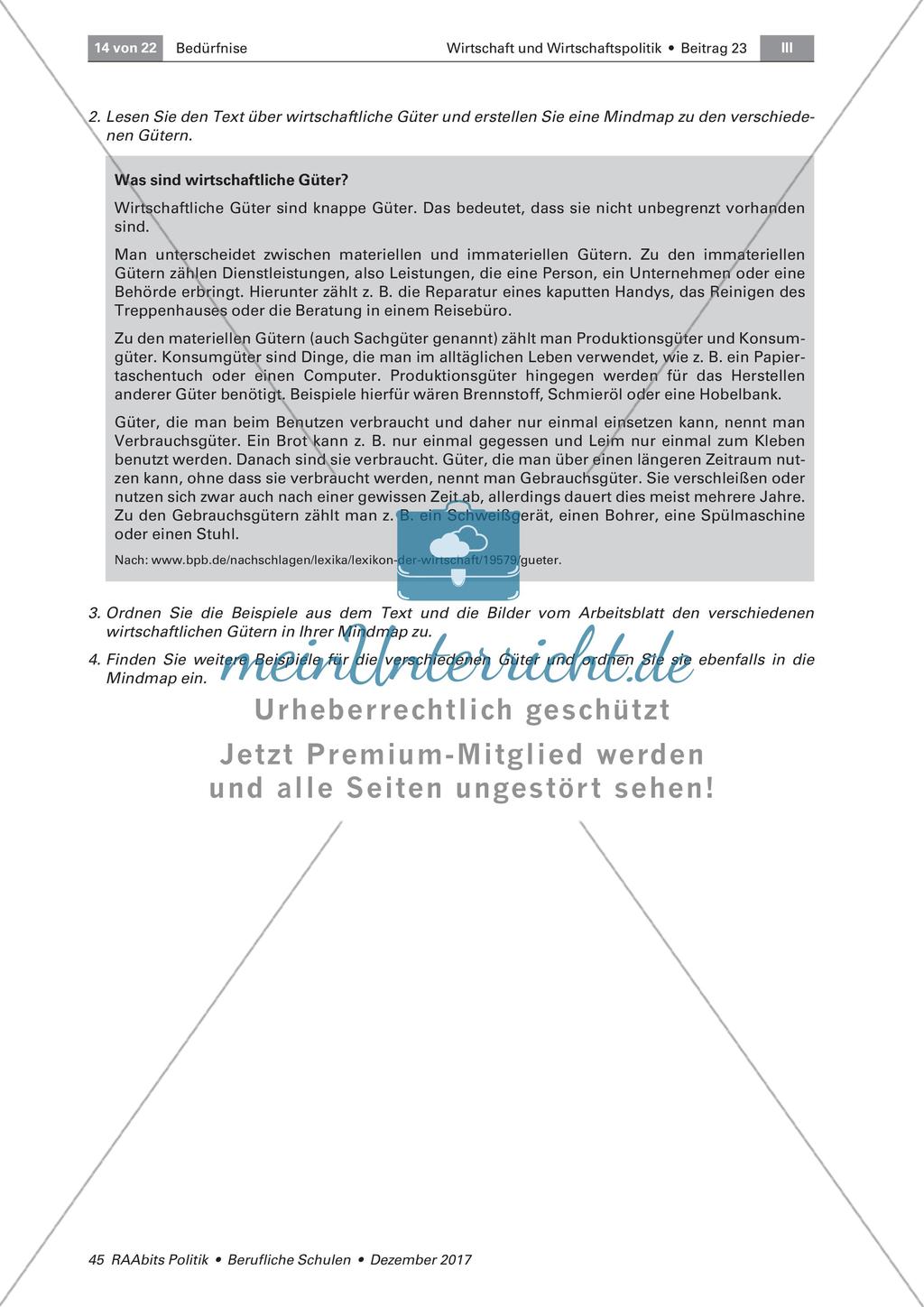 Wirtschaftliche Güter und ökonomisches Prinzip Preview 2