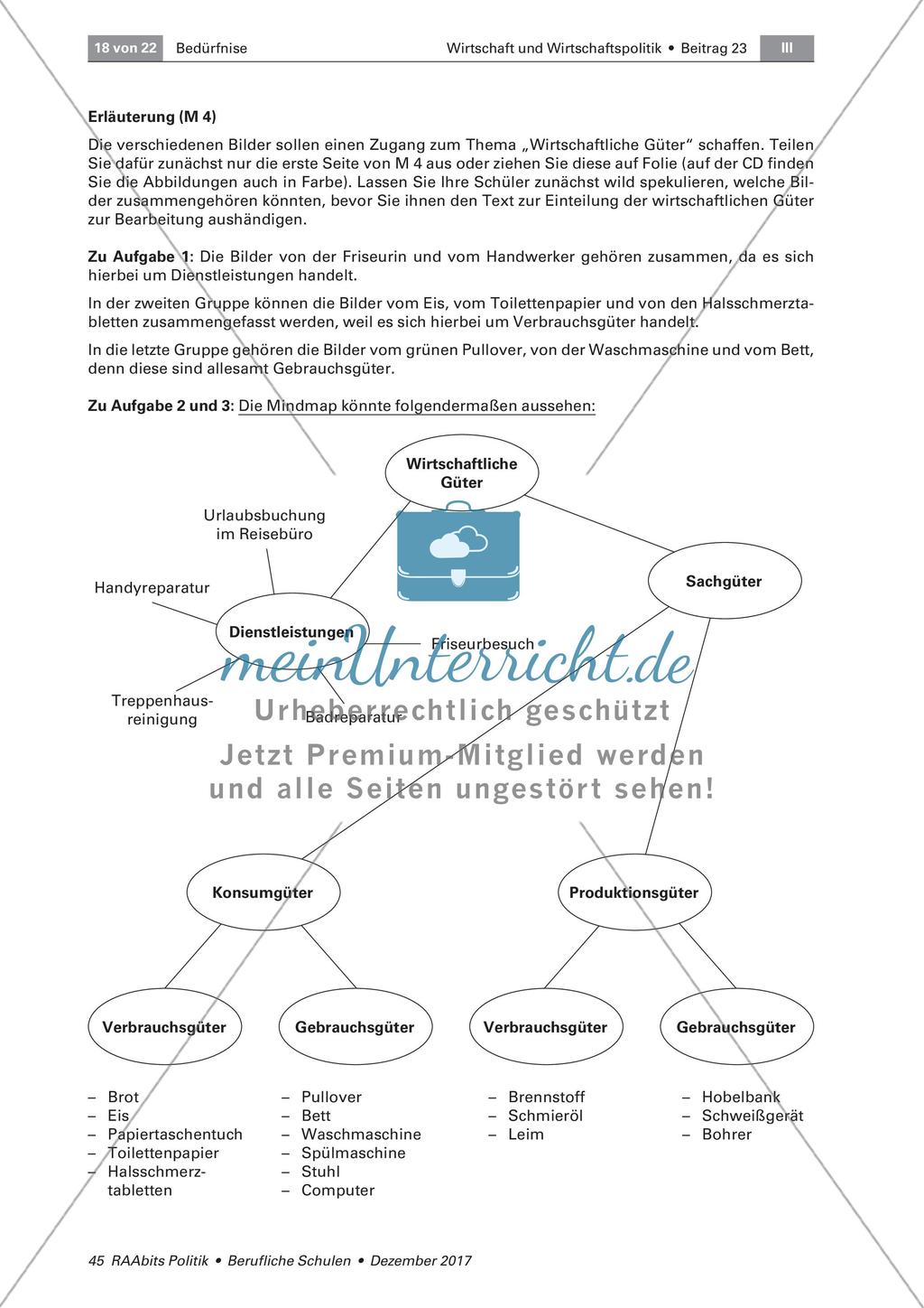 Wirtschaftliche Güter und ökonomisches Prinzip Preview 6