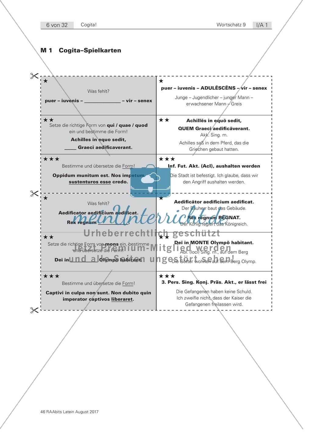 Cogita - Spielerisches Wortschatztraining Preview 1