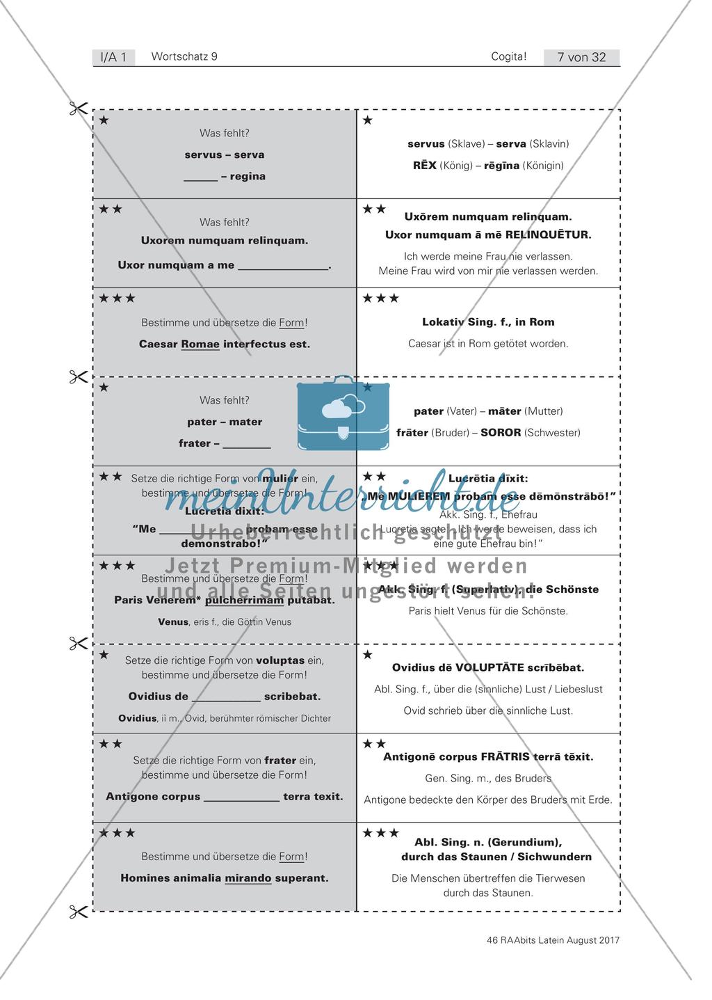 Cogita - Spielerisches Wortschatztraining Preview 2