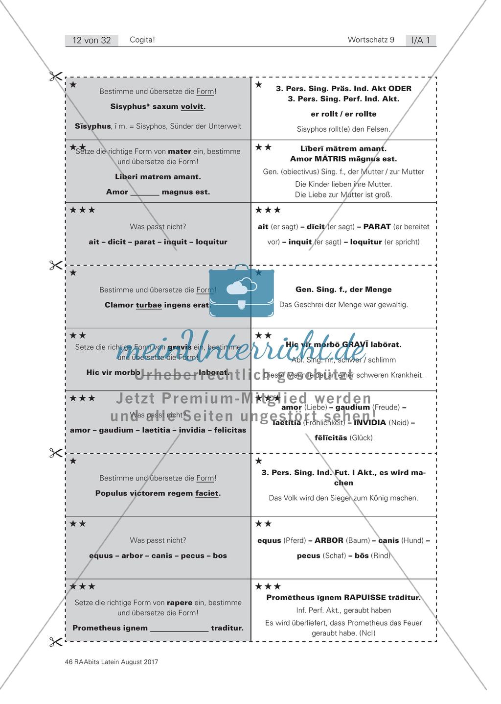 Cogita - Spielerisches Wortschatztraining Preview 7