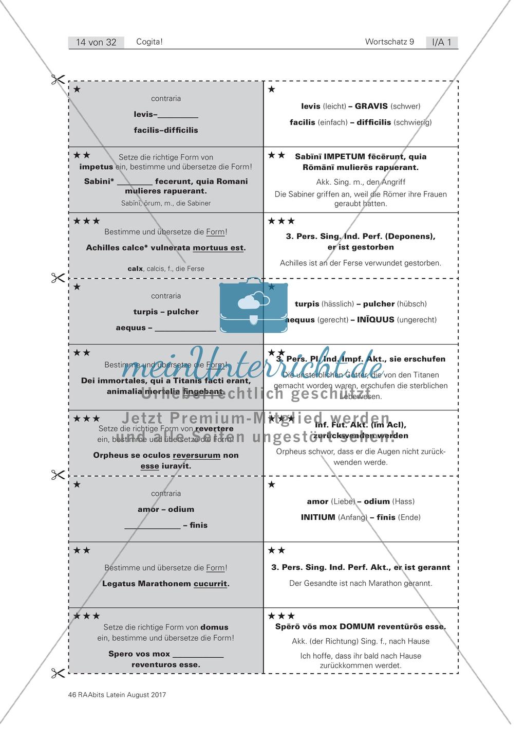 Cogita - Spielerisches Wortschatztraining Preview 9