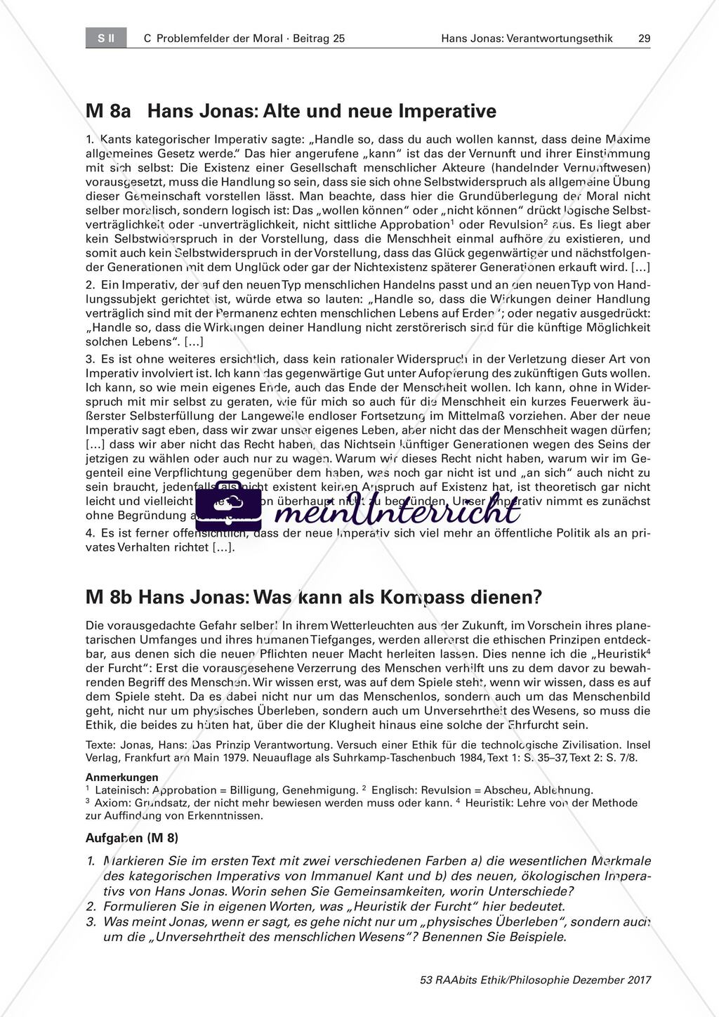 Hans Jonas: Katastrophensituationen und Umweltschutz Preview 2