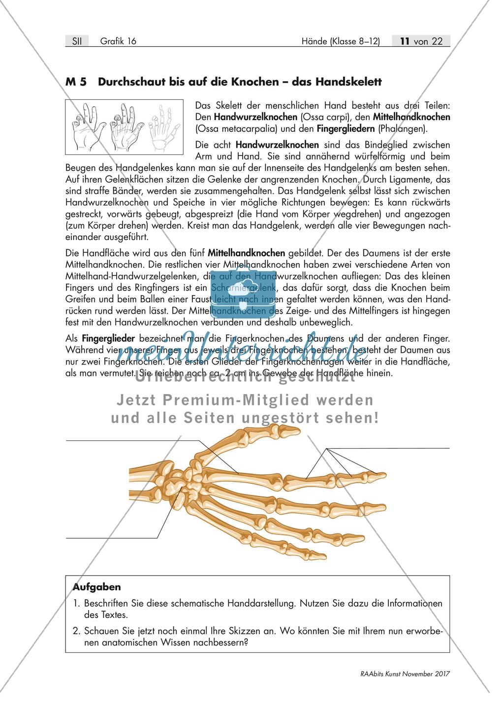 Aufbau der Hand – Hände als grafischer Gestaltungsanlass Preview 1