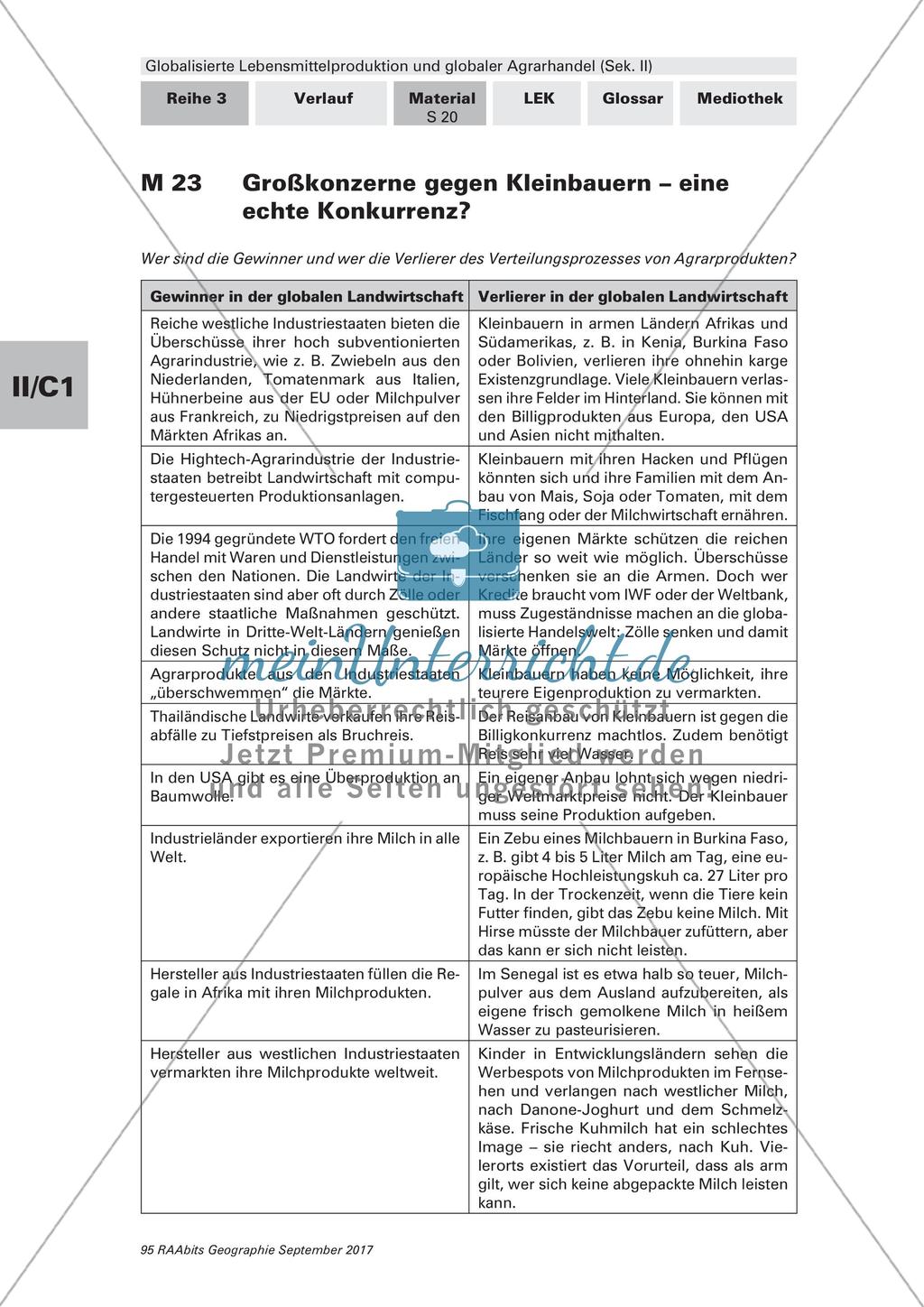 Wettbewerb zwischen Großkonzernen und Kleinbetrieben Preview 2
