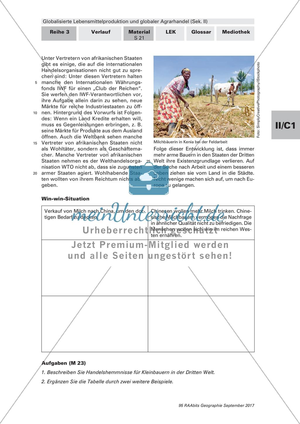 Wettbewerb zwischen Großkonzernen und Kleinbetrieben Preview 3