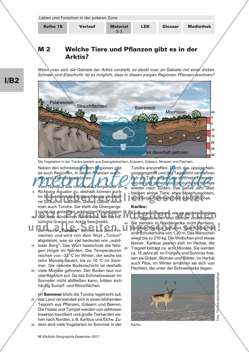 Die Tier- und Pflanzenwelt in der Arktis und Antarktis Preview 3
