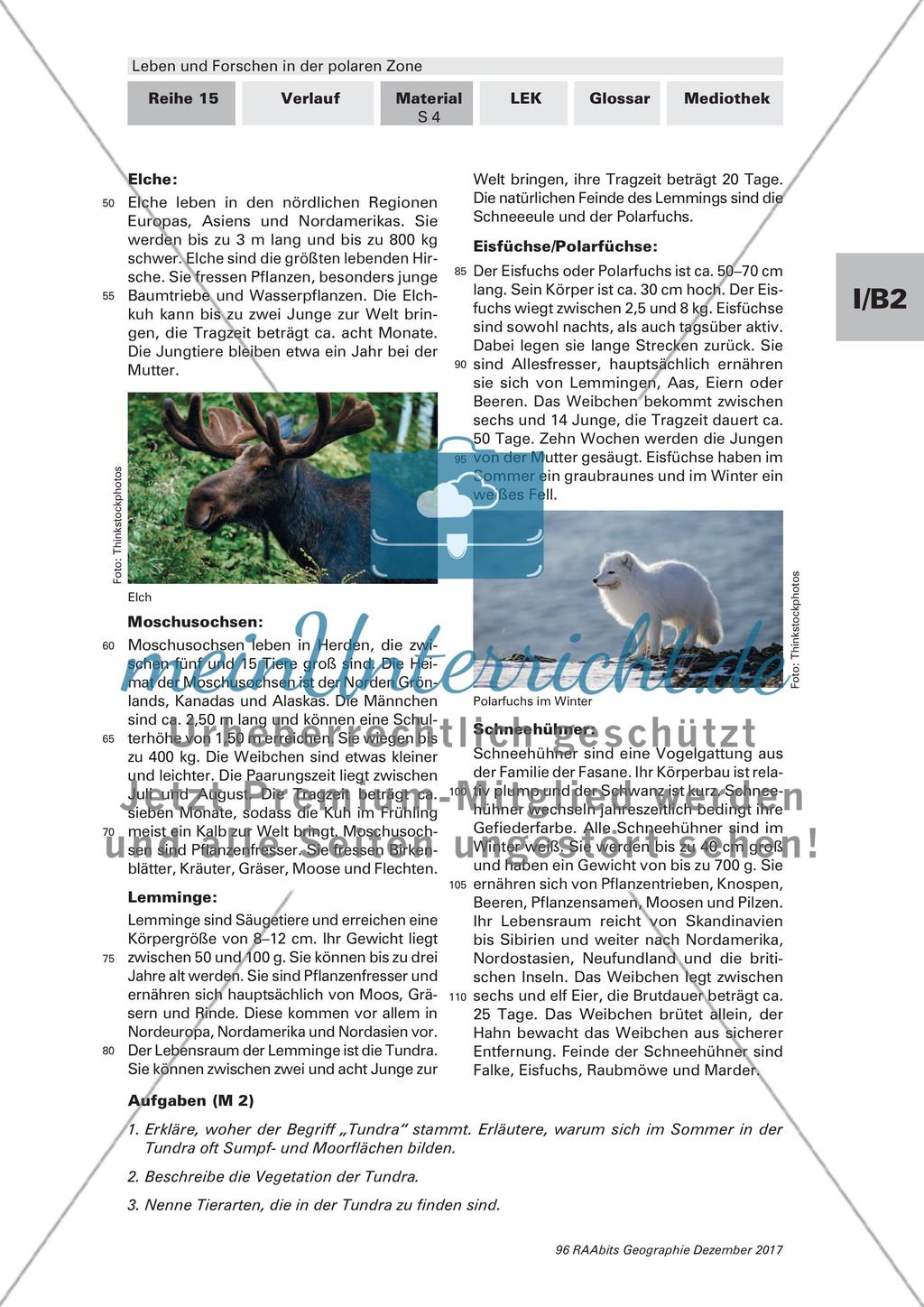 Die Tier- und Pflanzenwelt in der Arktis und Antarktis Preview 4