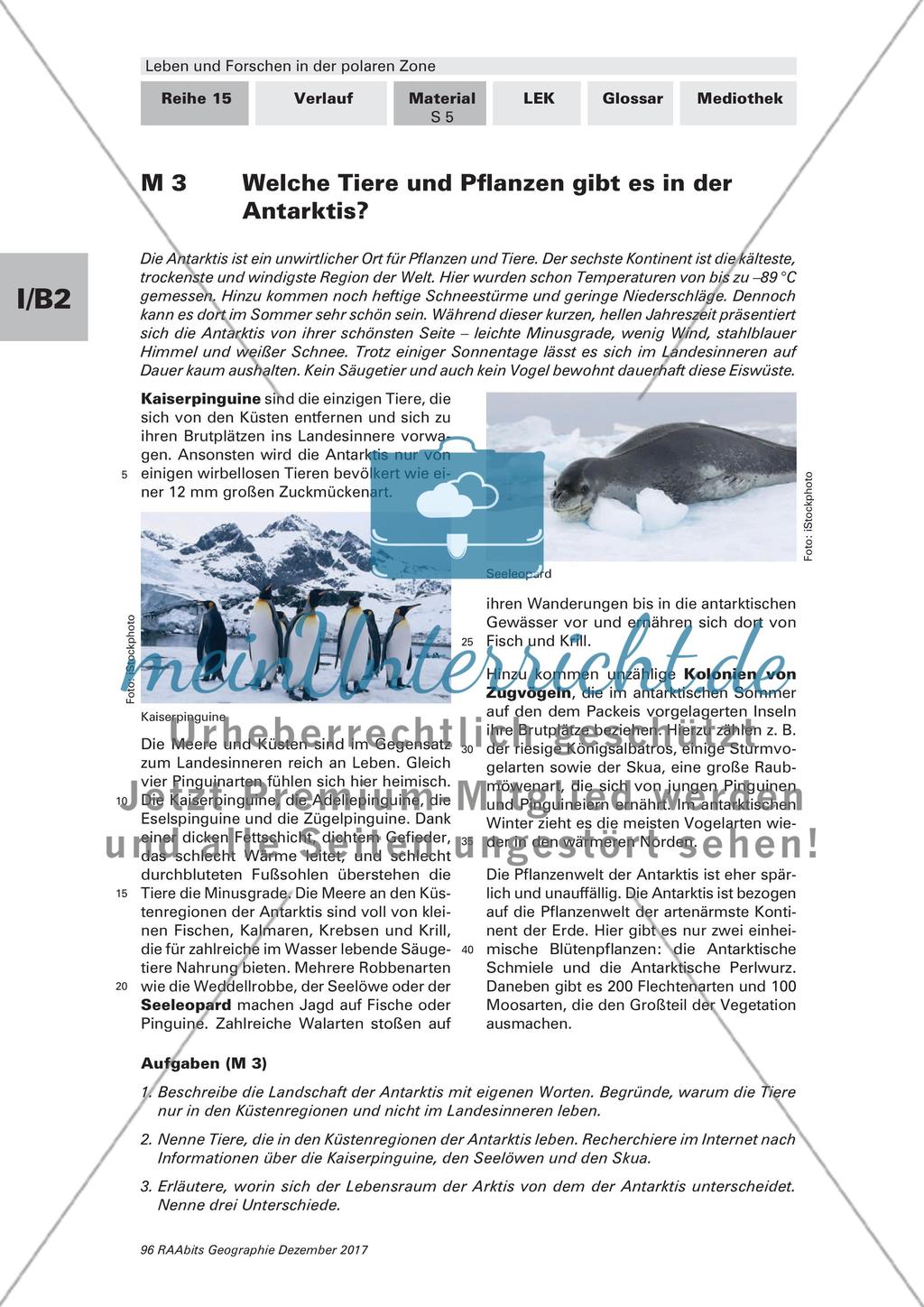 Die Tier- und Pflanzenwelt in der Arktis und Antarktis Preview 5