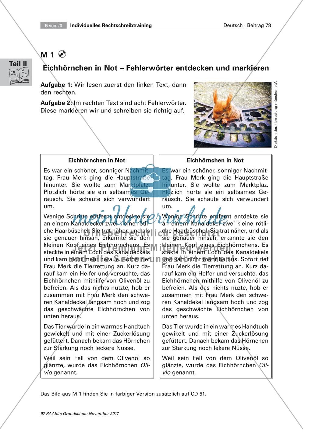 Individuelles Rechtschreibtraining Preview 6