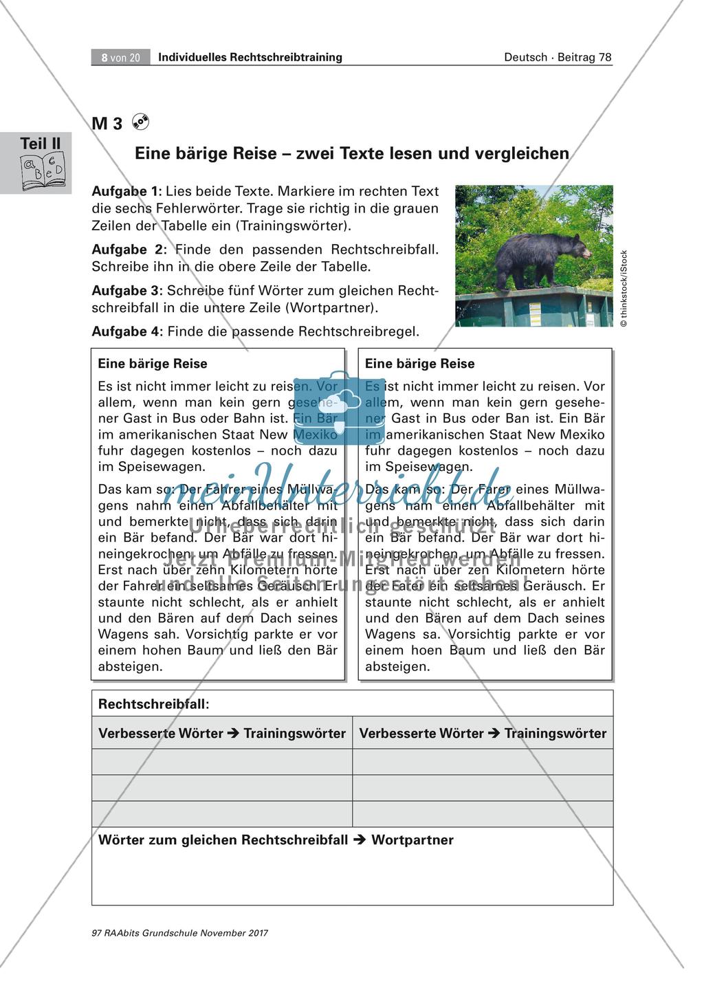 Individuelles Rechtschreibtraining Preview 8