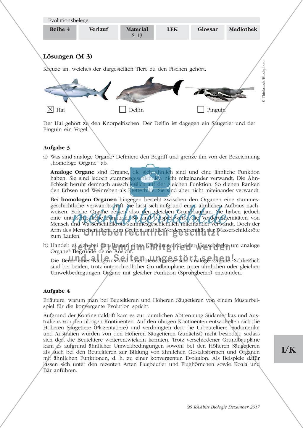 Evolutionsbelege: Gruppenpuzzle Preview 10