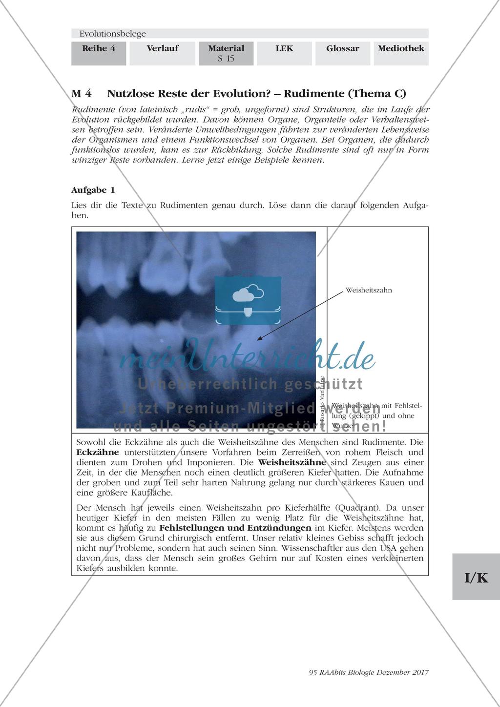 Evolutionsbelege: Gruppenpuzzle Preview 12