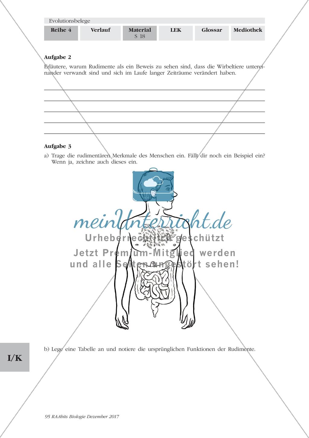 Evolutionsbelege: Gruppenpuzzle Preview 15