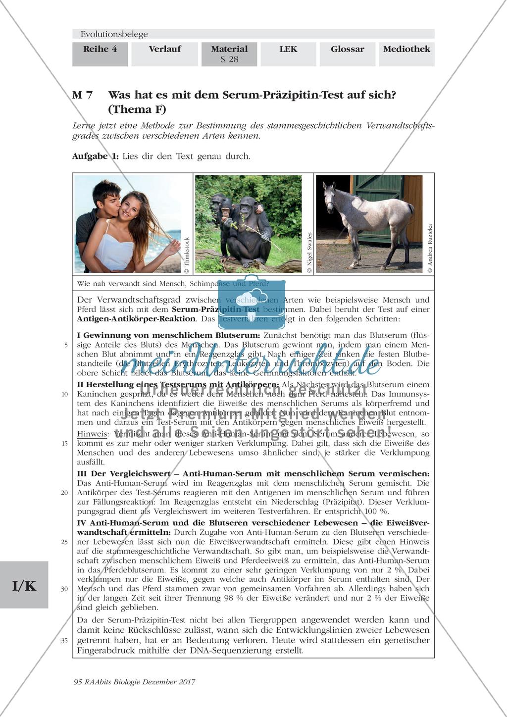 Evolutionsbelege: Gruppenpuzzle Preview 25