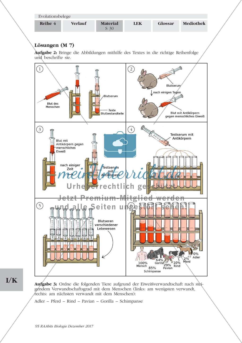 Evolutionsbelege: Gruppenpuzzle Preview 27
