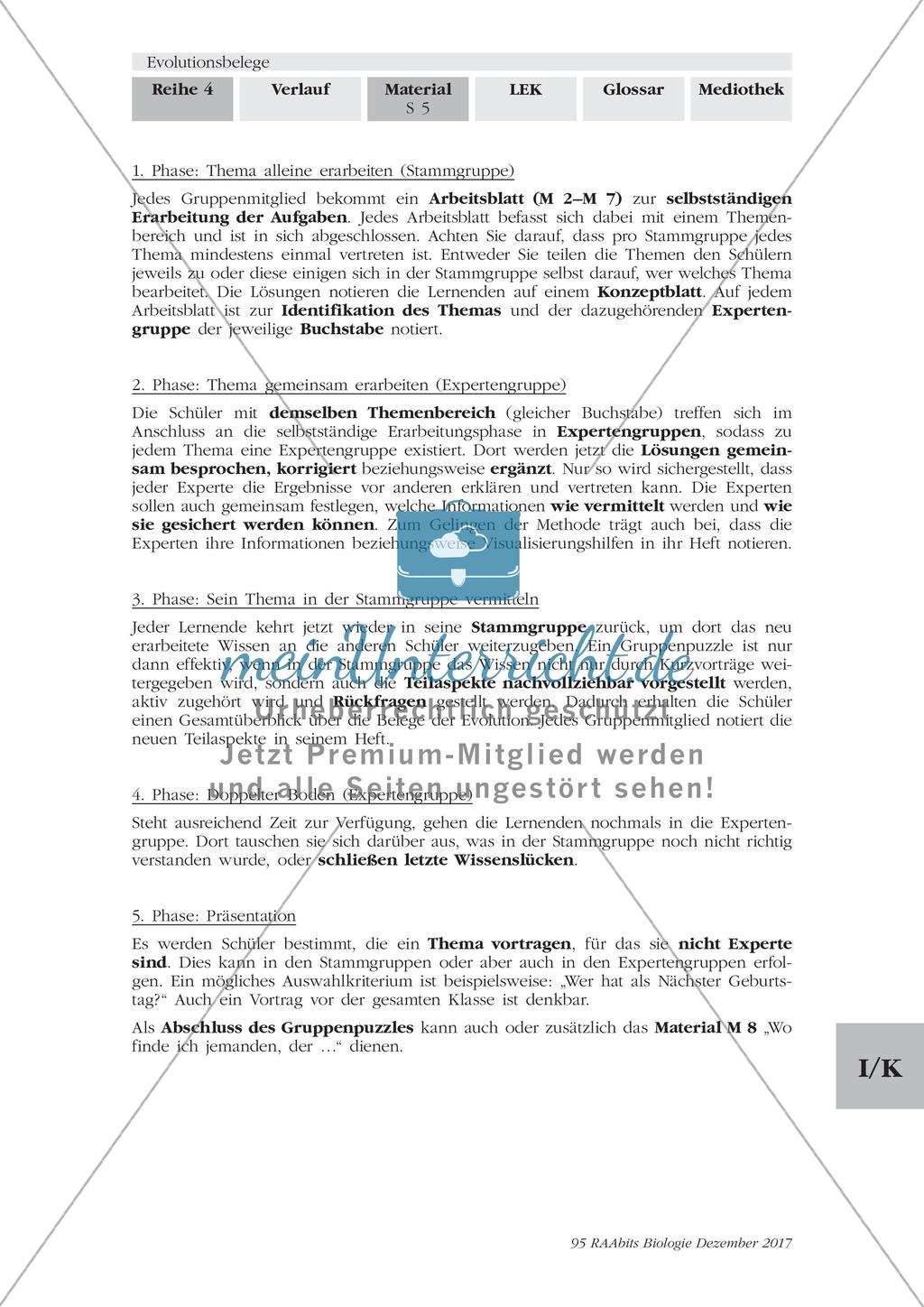 Evolutionsbelege: Gruppenpuzzle Preview 2