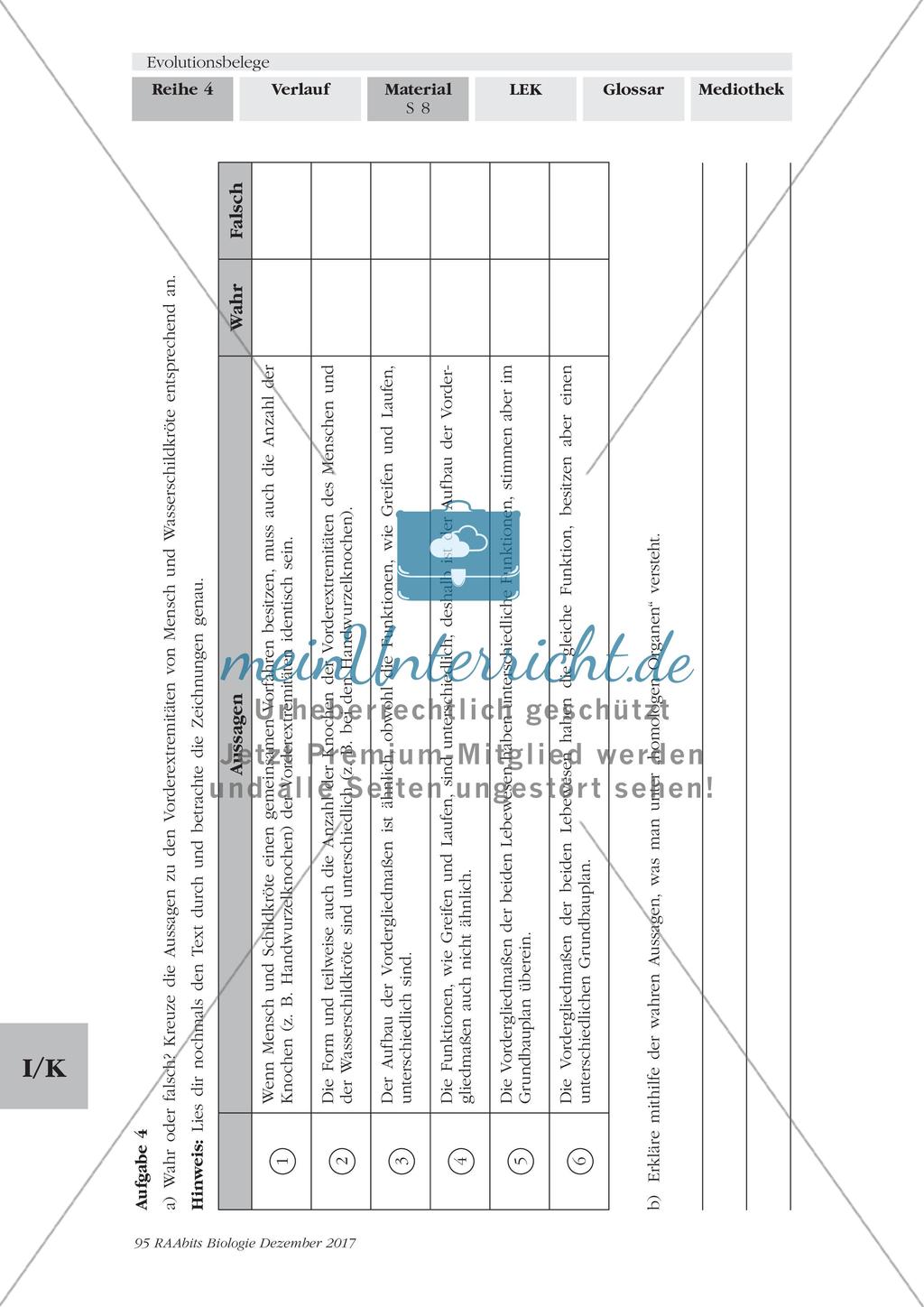 Evolutionsbelege: Gruppenpuzzle Preview 5