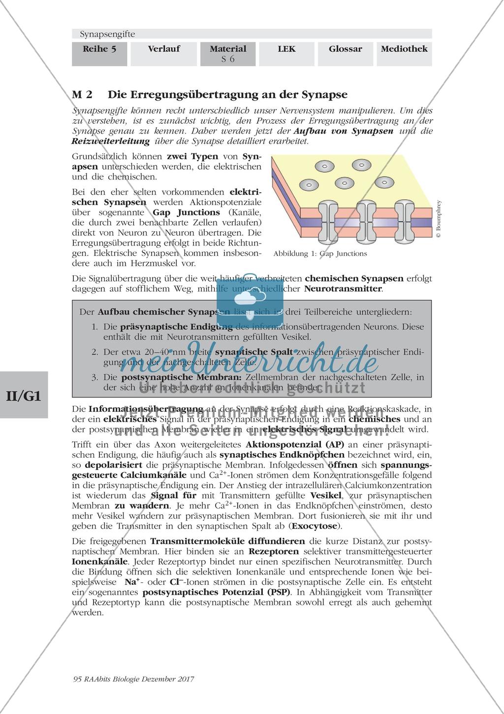 Synapsengifte: Erregungsübertragung an der Synapse Preview 1