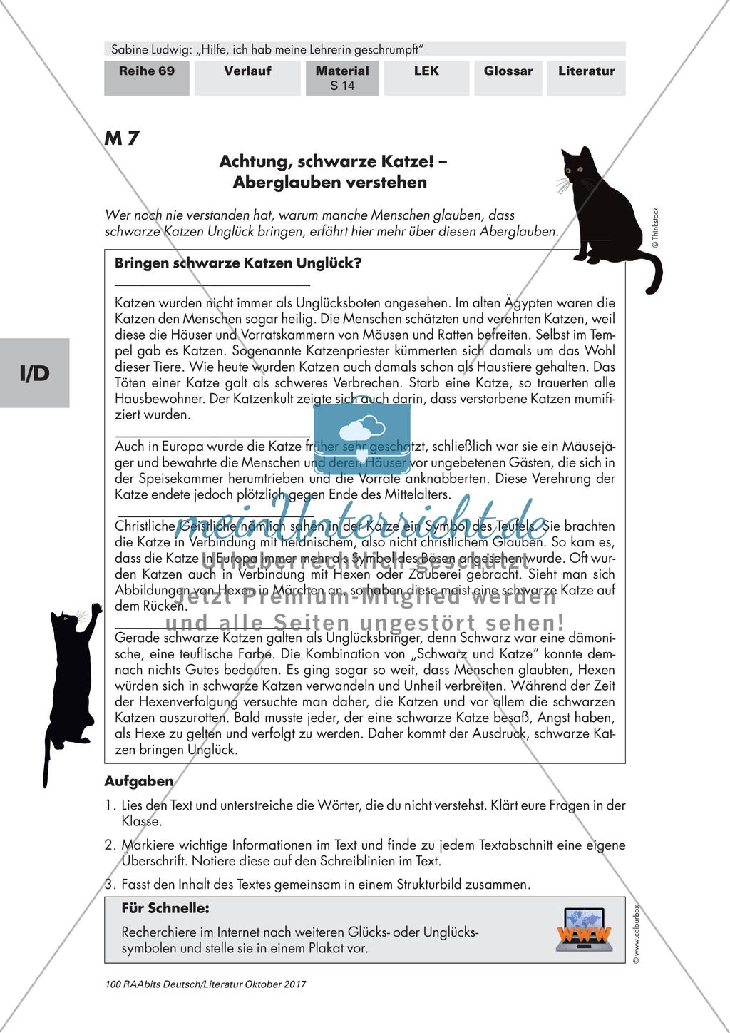 Hilfe, ich hab meine Lehrerin geschrumpft: Parapsychologie und Aberglaube Preview 2