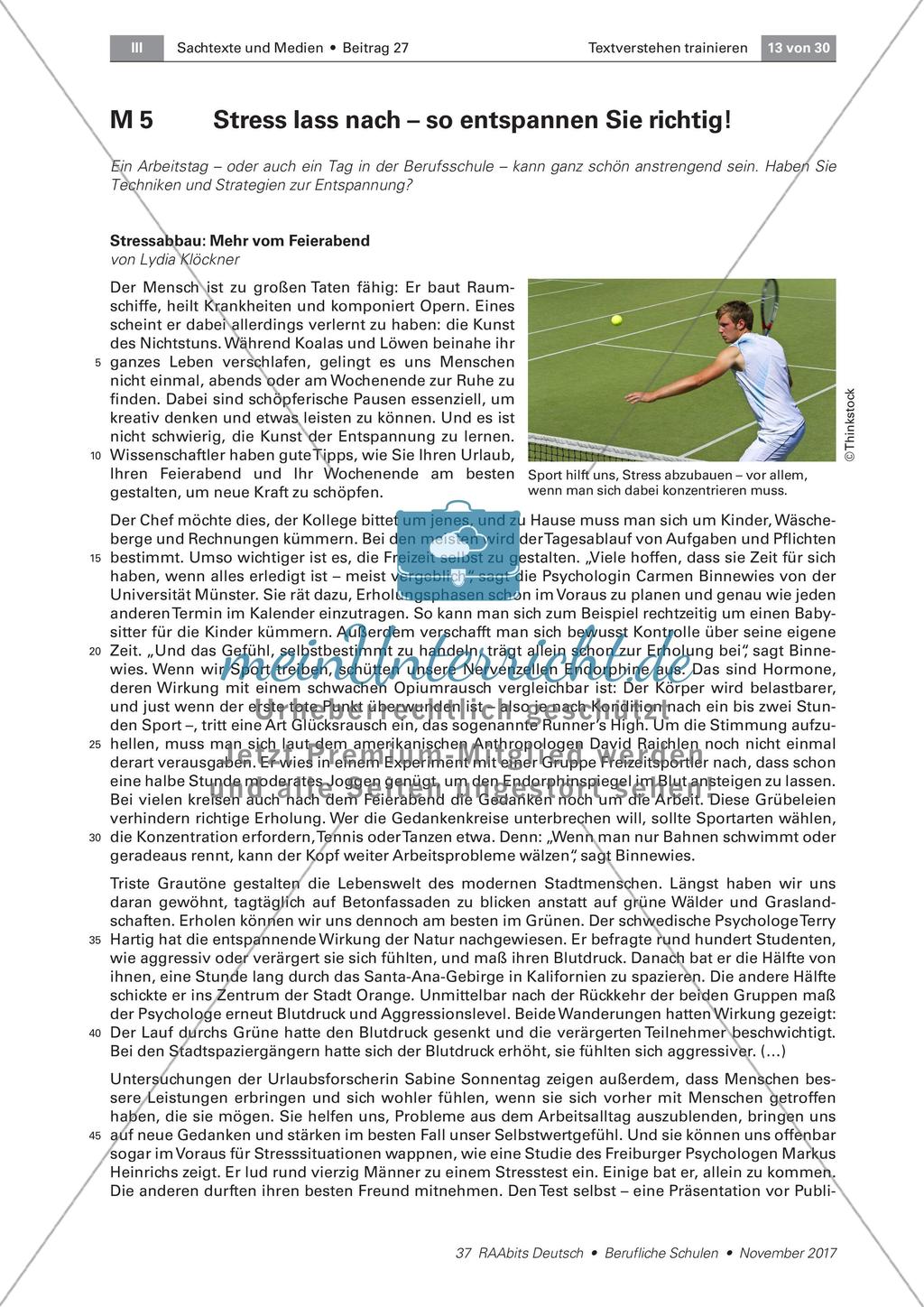Sprachliche Untersuchung von Texten Preview 1