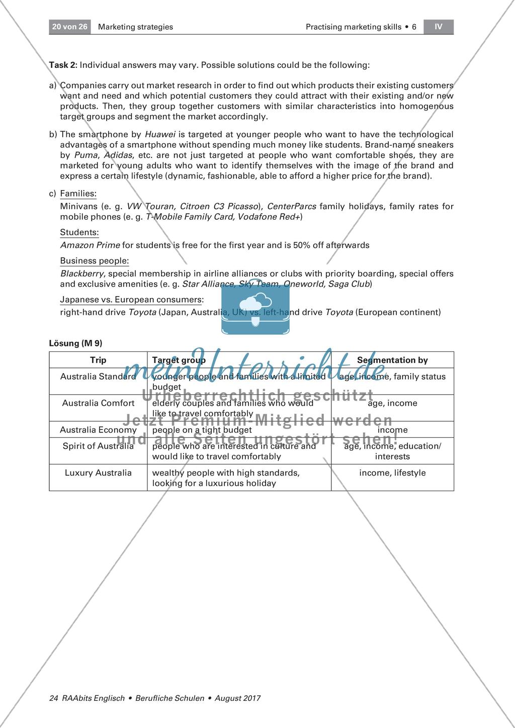 Marketing strategies: Defining a target group Preview 4