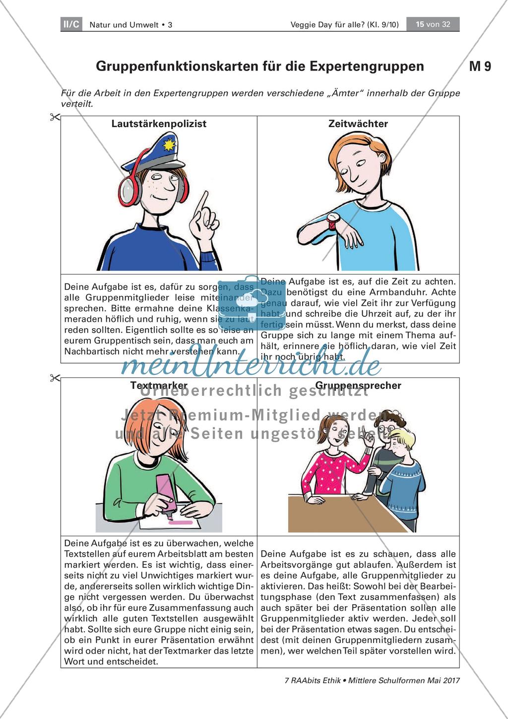 Grundlegende Informationen zum Veggie Day und Fleischkonsum Preview 10