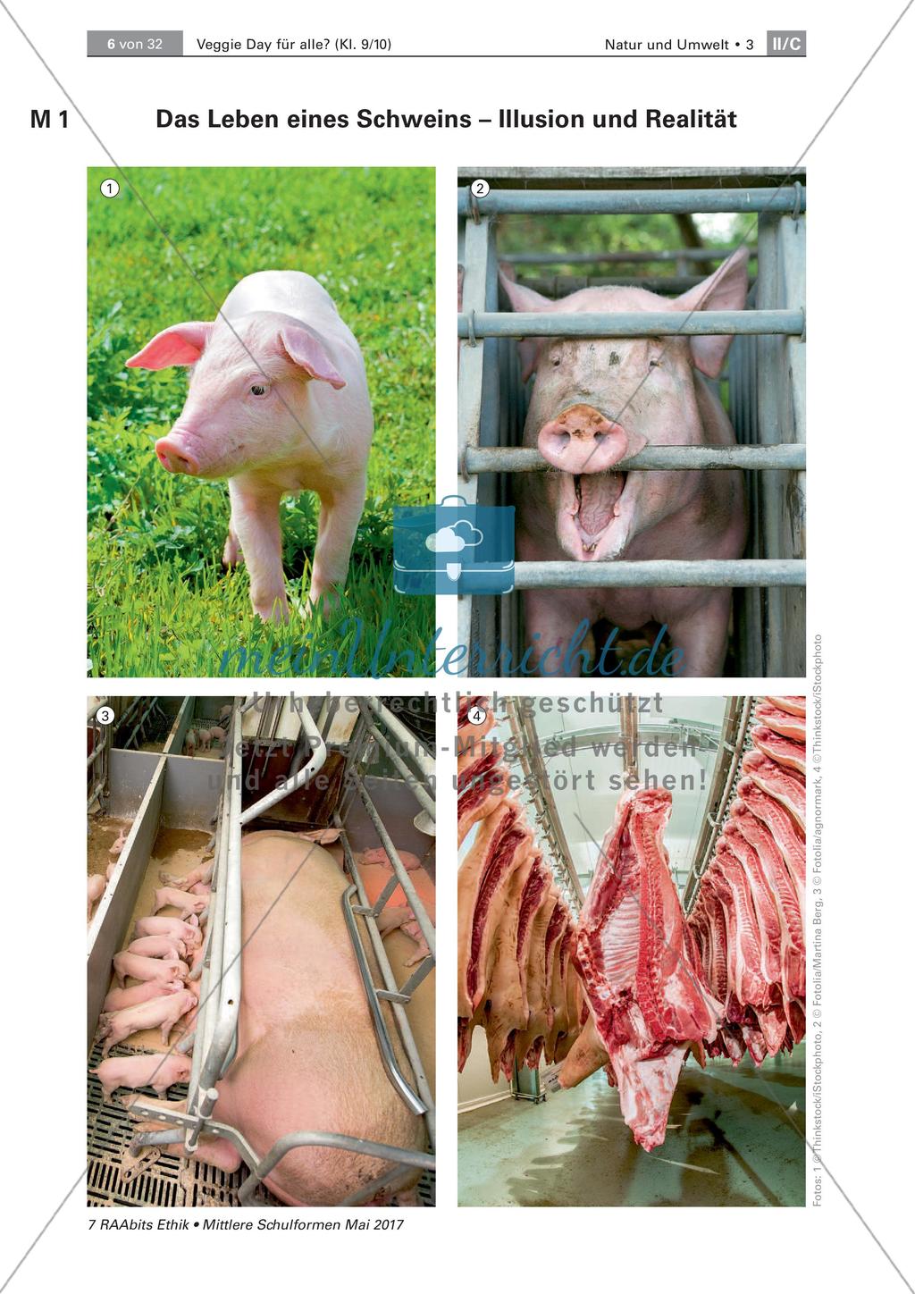 Grundlegende Informationen zum Veggie Day und Fleischkonsum Preview 1