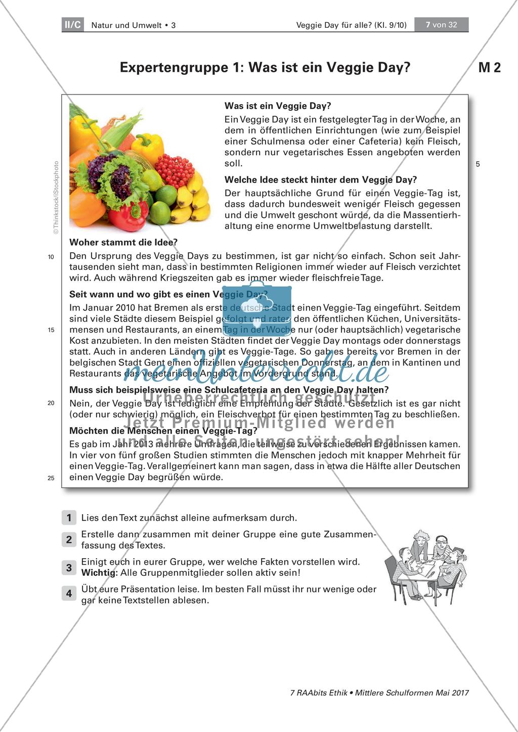 Grundlegende Informationen zum Veggie Day und Fleischkonsum Preview 2