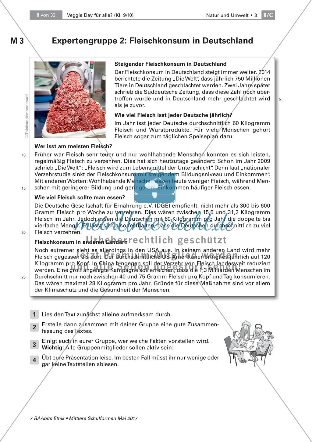 Grundlegende Informationen zum Veggie Day und Fleischkonsum Preview 3