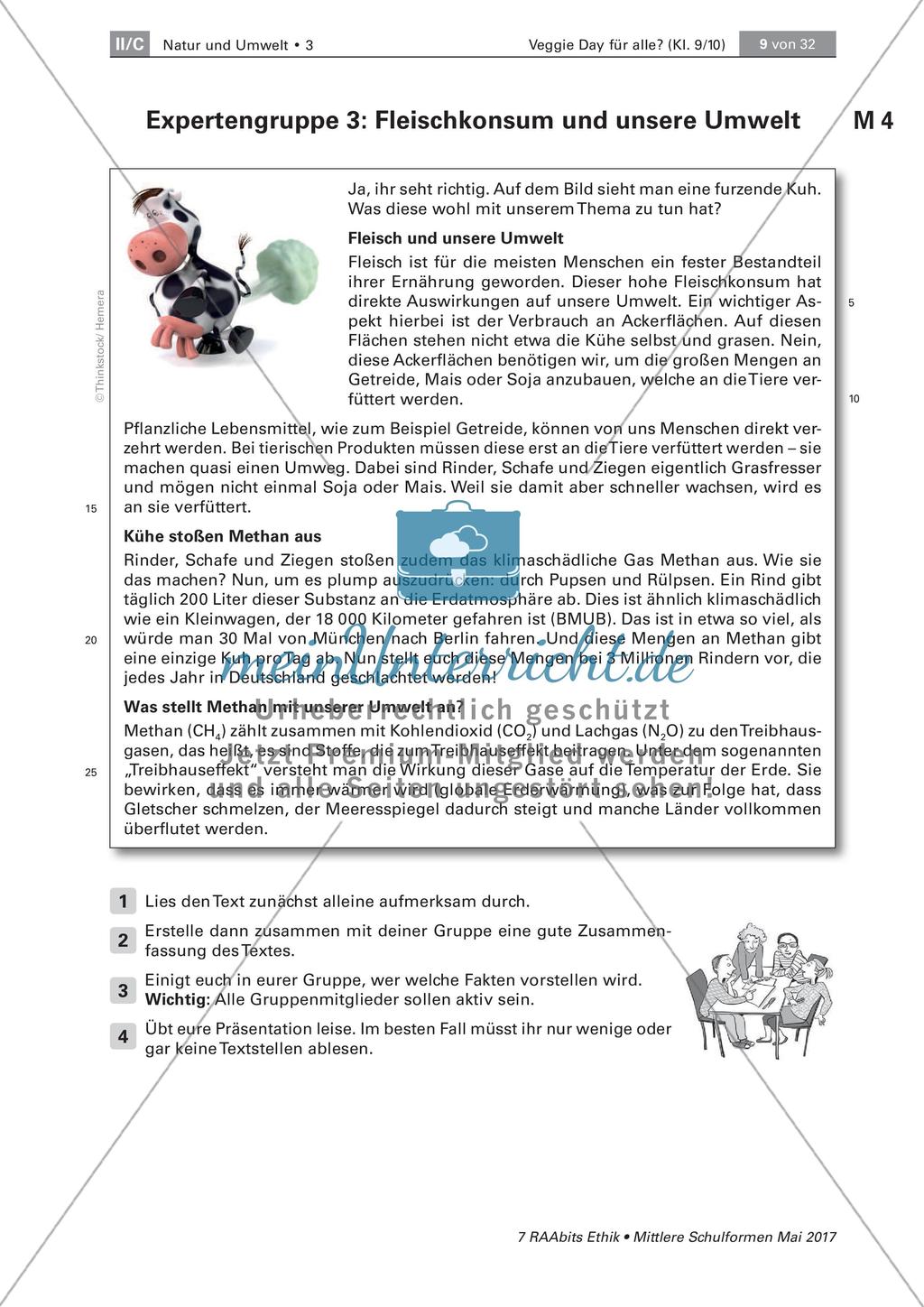 Grundlegende Informationen zum Veggie Day und Fleischkonsum Preview 4