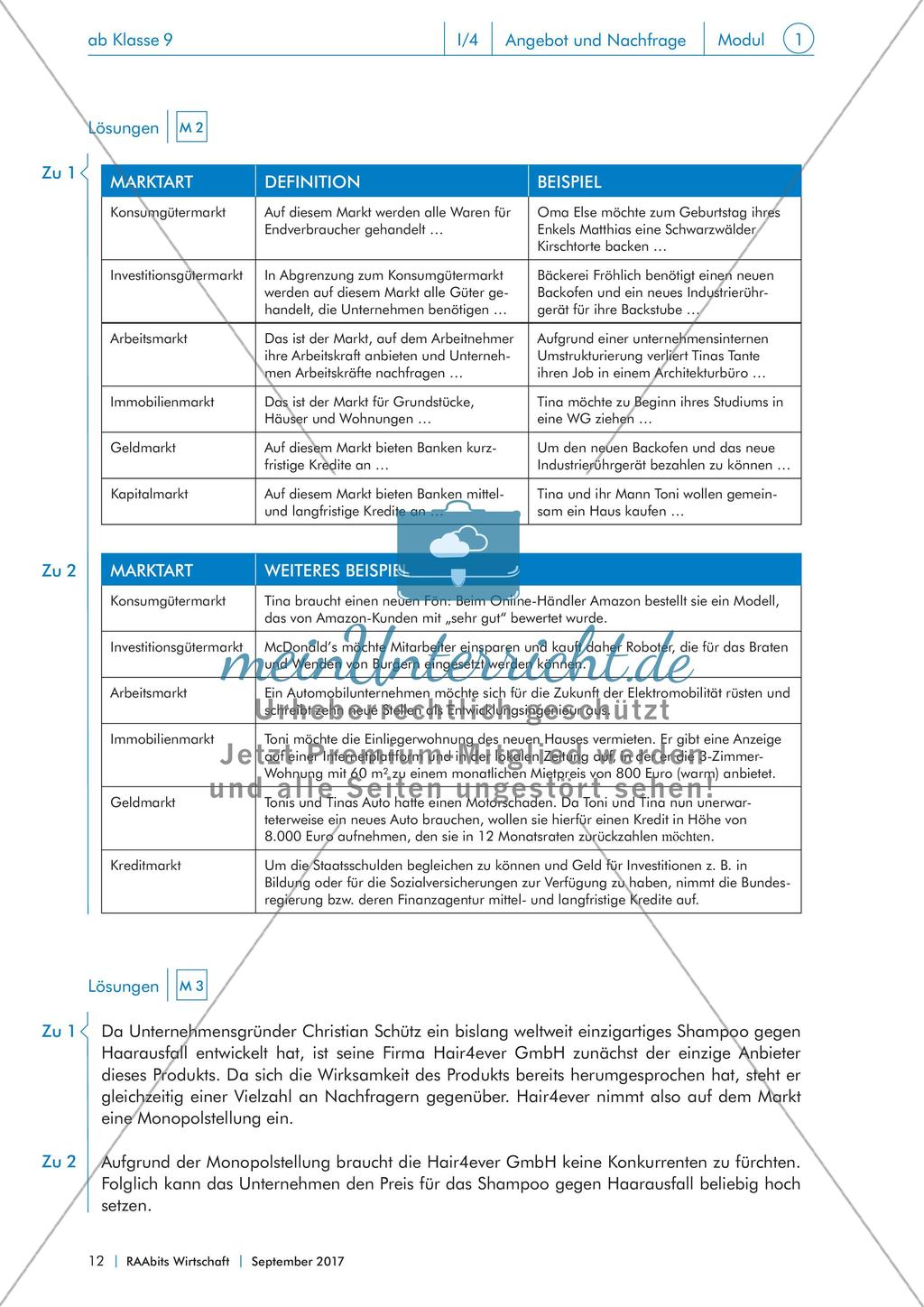 Marktarten, Marktformen und ihre gesellschaftlichen Folgen Preview 11